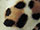 Fabric Color: Leopard