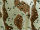 Desert Camouflage Waterproof Fabric