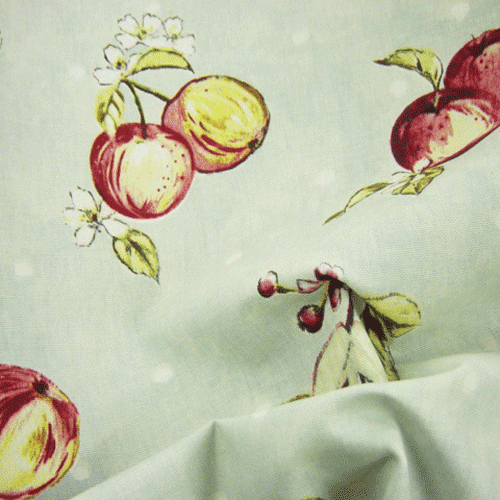Apple Blossom